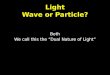 Light Wave or Particle?