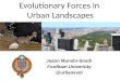 Evolutionary Forces in  Urban Landscapes