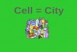 Cell  =  City