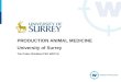 PRODUCTION ANIMAL MEDICINE  University of Surrey  Tim Potter  BVetMed  PhD MRCVS