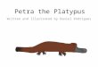 Petra the Platypus