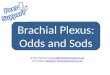 Brachial Plexus: Odds and Sods