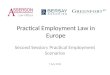Practical Employment  Law  in Europe