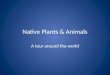 Native Plants & Animals