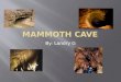 Mammoth  cave