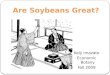 Are Soybeans  Great ?
