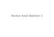 Review Axial Skeleton 1