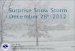 Surprise Snow Storm December 28 th  2012