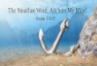 The Steadfast Word: Anchors My Mind