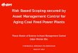 Risk Based Scoping secured by  Asset Management  Control for Aging Coal Fired  Power  Plants
