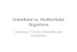 Unicellular vs. Multicellular Organisms