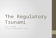 The Regulatory Tsunami