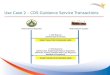 Use Case 2 – CDS Guidance  Service Transactions