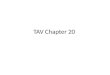 TAV Chapter 20
