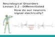 Neurological Disorders Lesson 2.2 - Differentiated