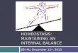Homeostasis: maintaining an internal balance