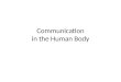 Communication in the Human Body