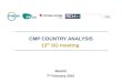 CMP COUNTRY ANALYSIS 13 th  SG meeting