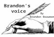 Brandon’s  voice