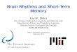 Brain  Rhythms and  Short-Term Memory Earl K. Miller