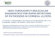 HIGH-THROUGHPUT MOLECULAR DIAGNOSTICS FOR RAPID DETECTION OF PATHOGENS IN CORNEAL ULCERS