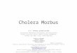 Cholera Morbus