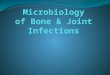Microbiology of Bone & Joint Infections