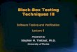 Black-Box Testing Techniques III