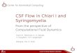 CSF Flow in  Chiari  I and  Syringomyelia