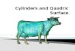 Cylinders and Quadric Surface