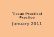 Tissue  Practical Practice