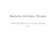 Bacteria,  Archaea , Viruses