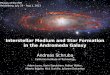 Interstellar Medium and  Star Formation in the Andromeda Galaxy