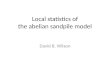 Local statistics of the  abelian sandpile  model