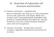 III.Overview of  Eukaryotic cell         structure and function