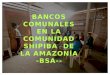 BANCOS COMUNALES EN LA COMUNIDAD SHIPIBA  DE LA AMAZONÍA -BSA--
