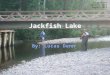 Jackfish Lake