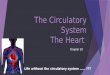 The Circulatory System The Heart