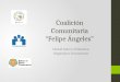 Coalición Comunitaria “Felipe  Ángeles”