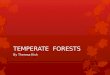 TEMPERATE  FORESTS