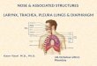 nose &  assocIated structures Larynx ,  trachea ,  pleura lungs  &  dIaphragm