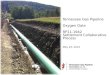 Tennessee Gas Pipeline Oxygen Data RP11-1942 Settlement Collaborative Process May 23, 2013