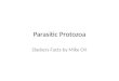 Parasitic  Protozoa
