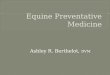 Equine Preventative Medicine
