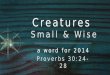 Creatures Small & Wise
