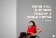 NURS 441- Nursing Theory 3 spina Bifida