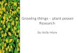 Growing things – plant power Research
