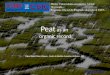 Peat  as an  organic record