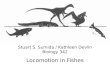 Stuart S.  Sumida /  Kathleen Devlin Biology 342 Locomotion in Fishes