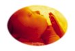 Informazioni sul parto Prevenire la perdita di calore Bagnetto  Misurazione